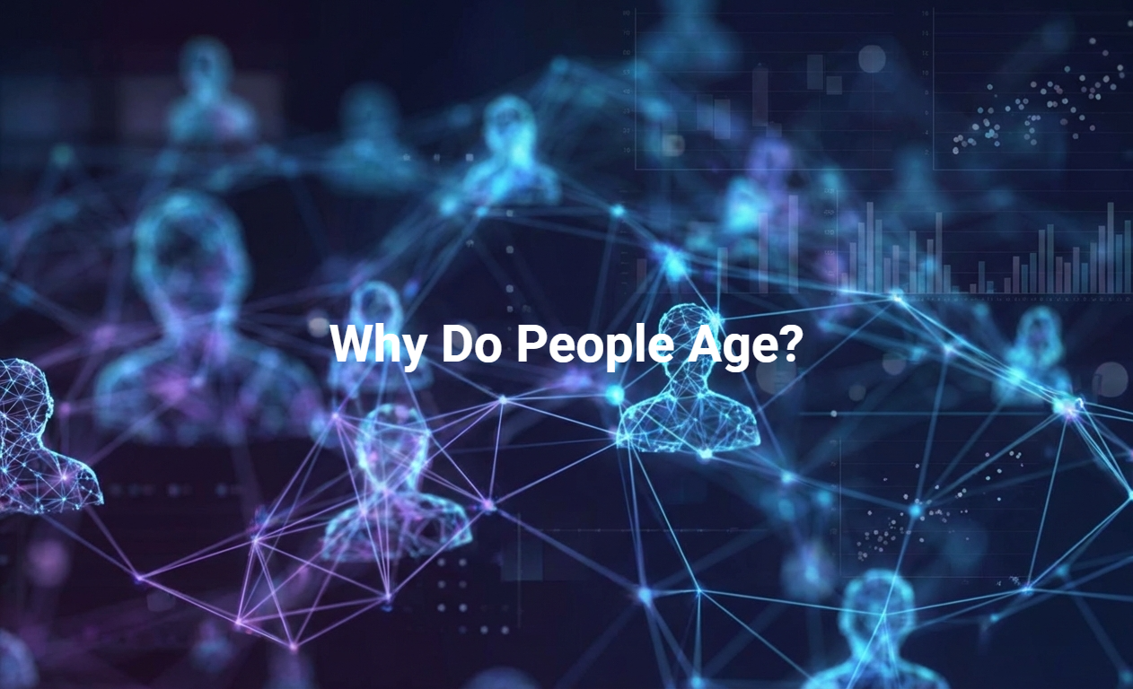 Why Do People Age?